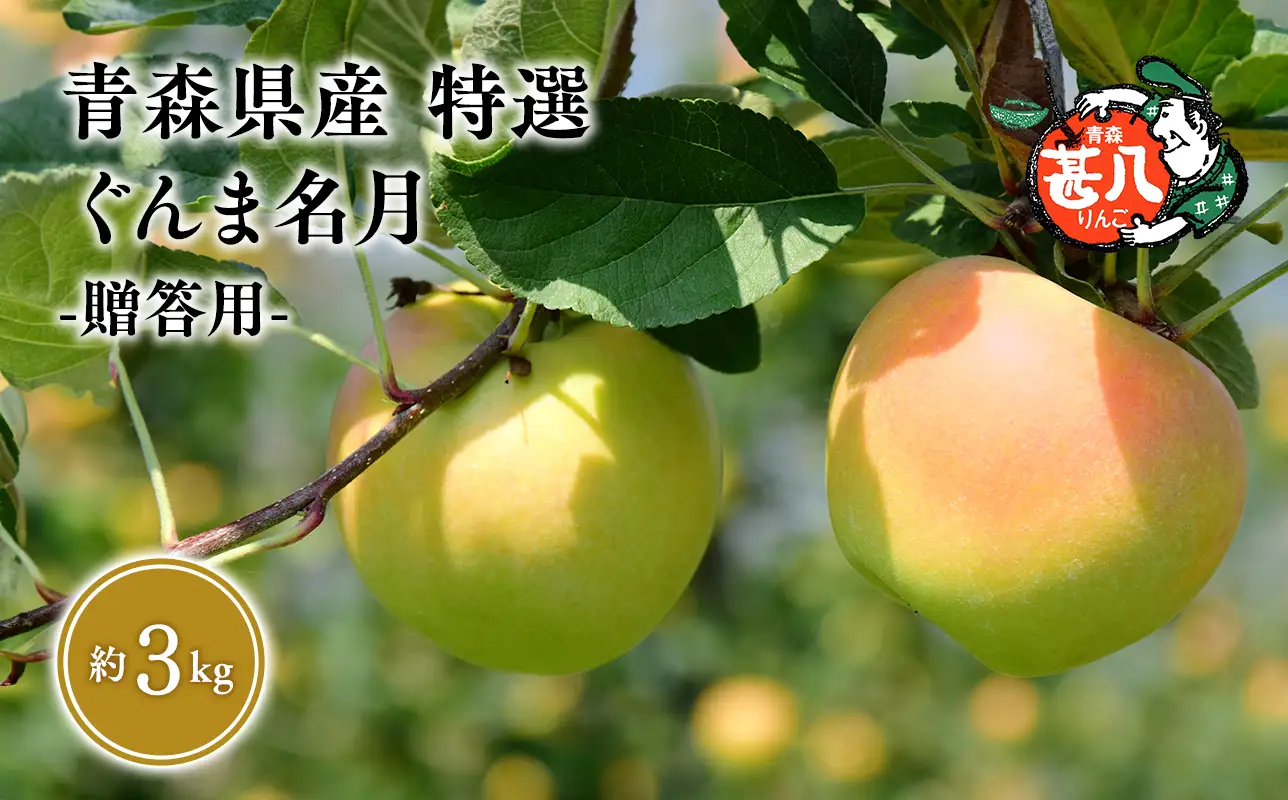 １１月発送　特選　甚八りんごぐんま名月３kg　【青森県 平川市 マルジンサンアップル】[hi-0058-055]