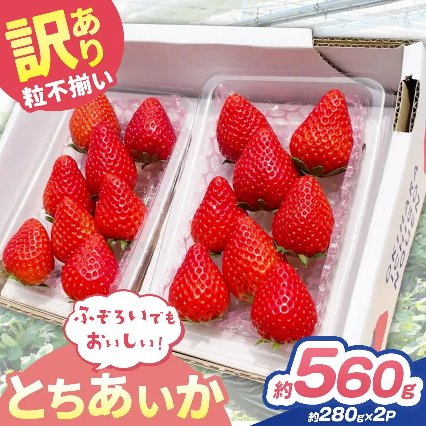 訳あり 粒不揃い とちあいか 560g (280g×2P) | 栃木県 矢板市 澳原いちご農園