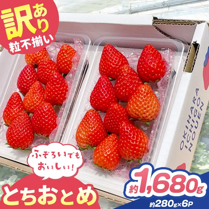 訳あり 粒不揃い とちおとめ 560g (280g×2P)  | 栃木県 矢板市 澳原いちご農園