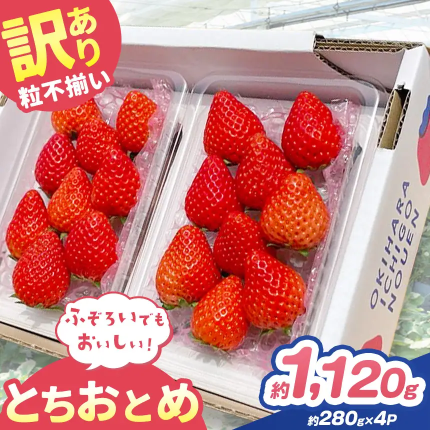訳あり 粒不揃い とちおとめ 1,120g (280g×4P)  | 栃木県 矢板市 澳原いちご農園