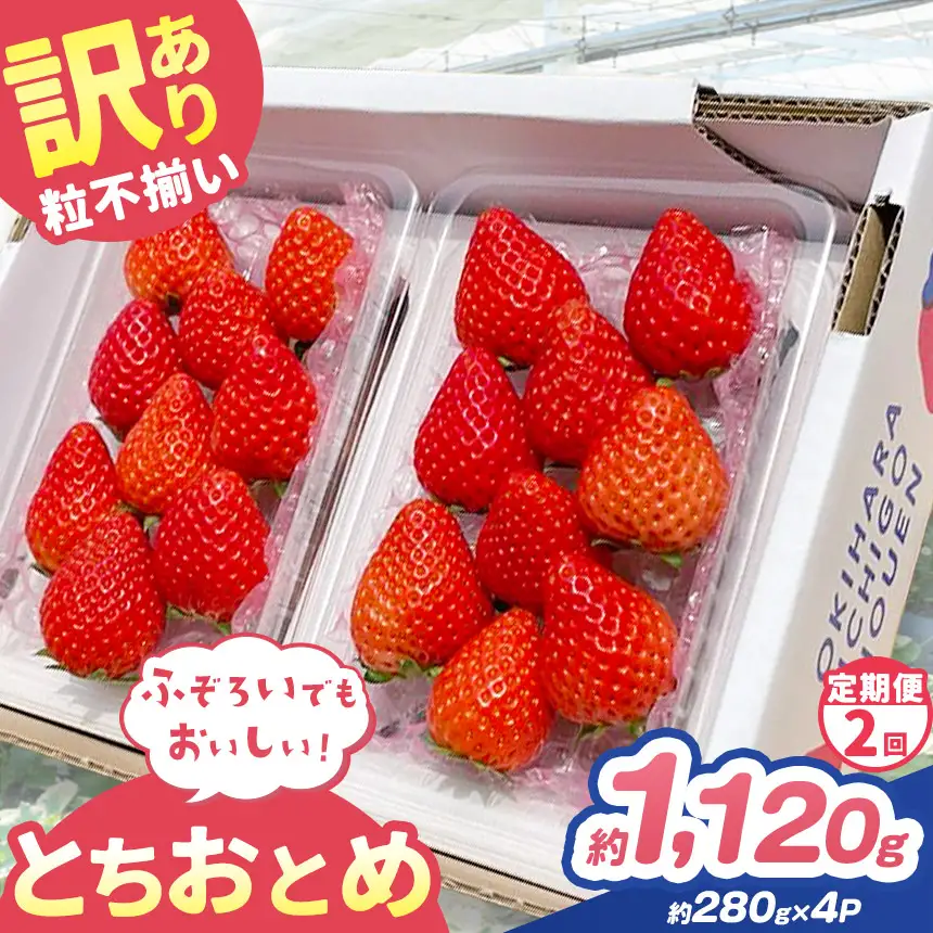 【定期便2回】訳あり 粒不揃い とちおとめ 1,120g (280g×4P)  | 栃木県 矢板市 澳原いちご農園