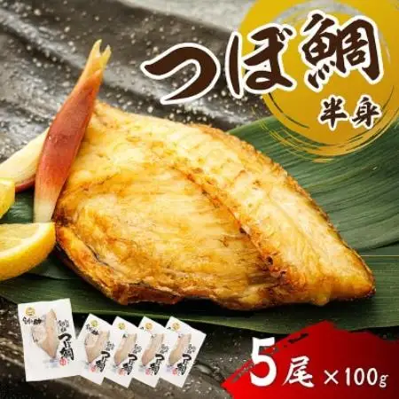 厳選したツボダイを一夜干しにした 「つぼ鯛(半身100g)」5個セット【配送不可地域：離島】【1740285】