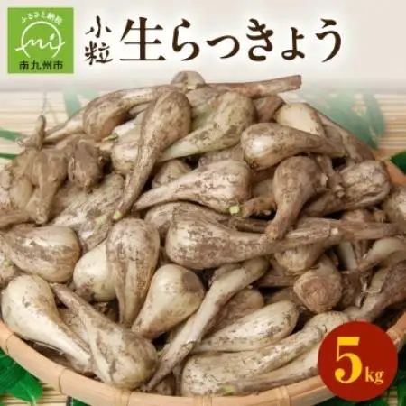 生らっきょう(小粒) 5kg【配送不可地域：離島】【1739740】
