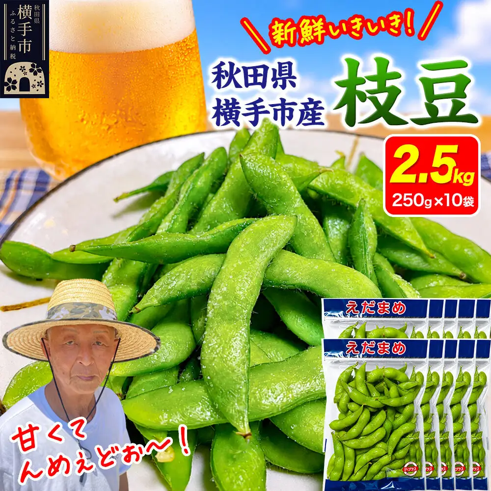 ＜先行受付 7月下旬より発送＞作り手の顔が見える「新鮮いきいき枝豆」 2.5kg（250g×10袋）秋田県横手市産