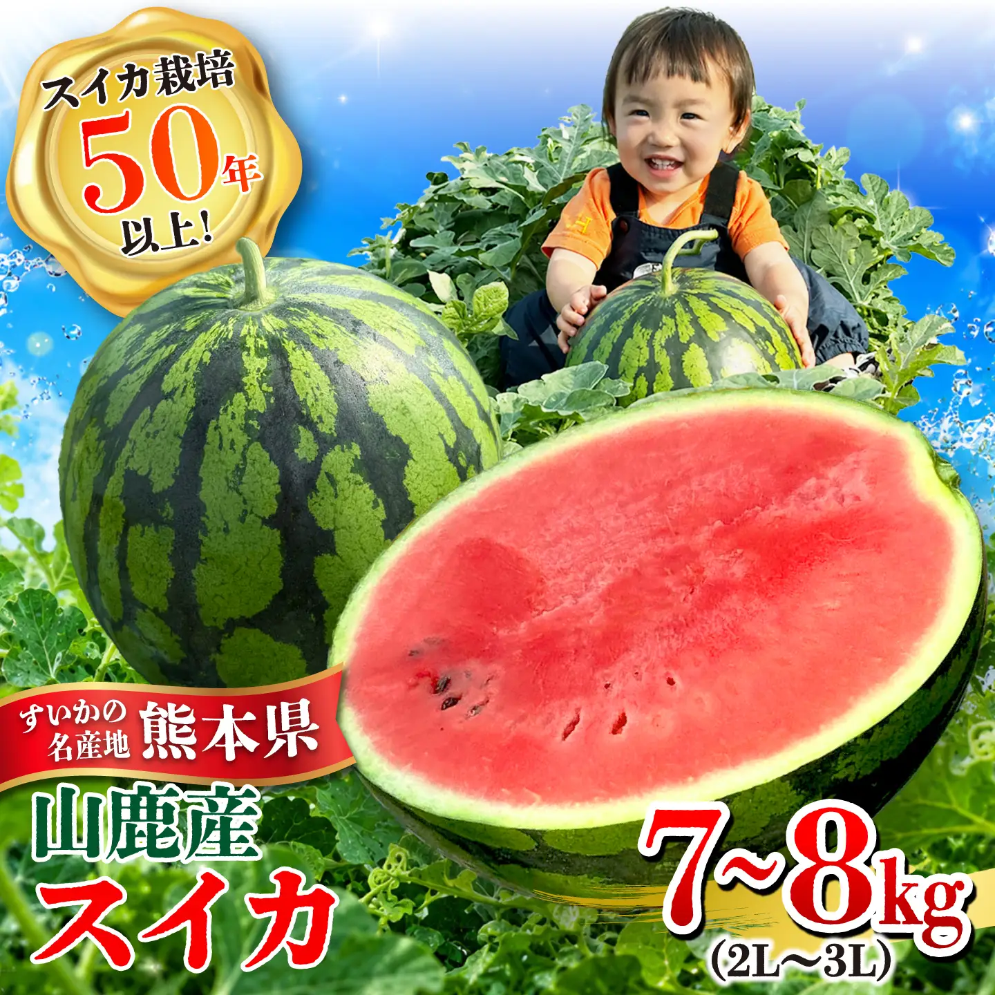 大玉スイカ 7～8kg（2L～3L） すいか 大玉 フルーツ 野菜 果物 山鹿市 【山下農園】[ZGA001]