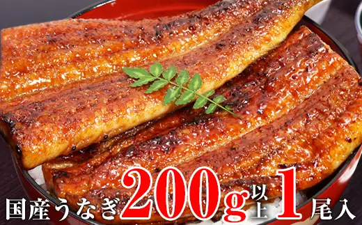 超特大国産うなぎ1本セット(1尾：200~229g)(B1174-1)