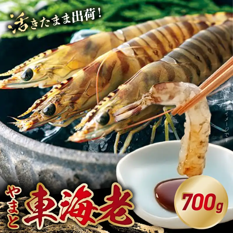 S010-084_活き車海老「やまと車海老」700g