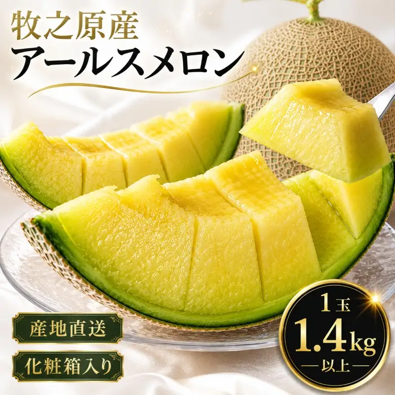 【5口限定・予約受付】アールスメロン メロン 1玉 【森木農園】