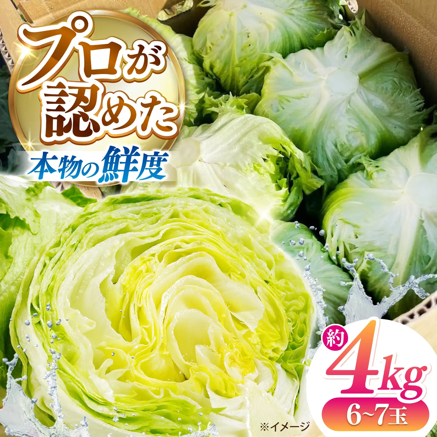 レタス 約4kg 旬レタス[SGU006]