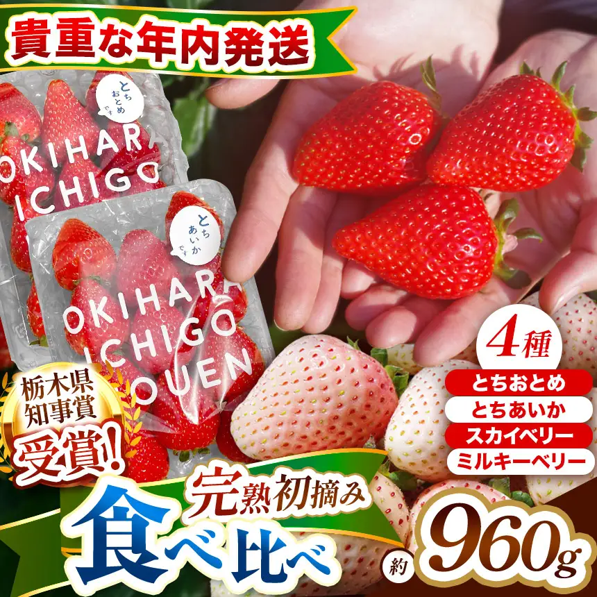 【先行予約】貴重な12月発送！贅沢な栃木のいちご4種食べ比べセット 960g | とちあいか とちおとめ スカイベリー ミルキーベリー