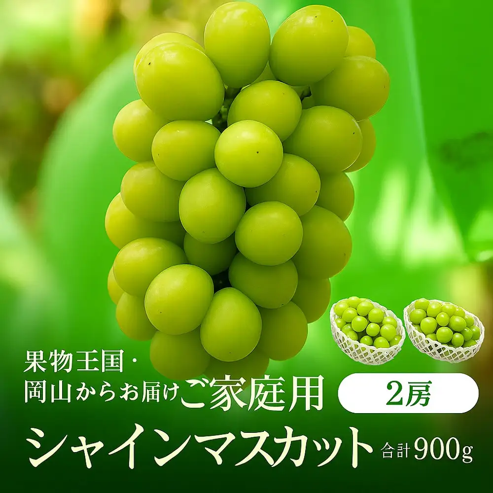 家庭用 シャインマスカット2房 合計900g | シャインマスカット
