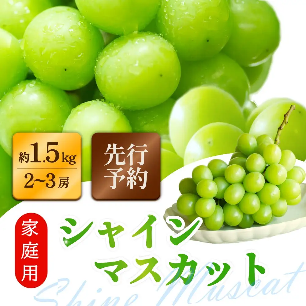 家庭用シャインマスカット 2～3房 合計1.5kg以上 ぶどう 葡萄 桃太郎御一行　岡山県産 2026年【8月中旬頃発送】