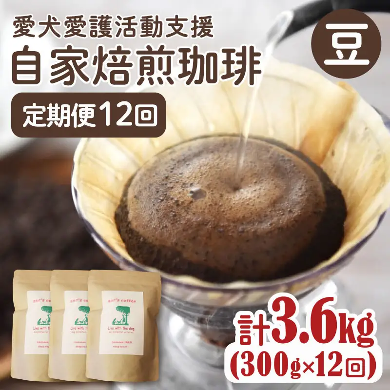 【コーヒー豆 定期便 12回】ann's cafe 自家焙煎珈琲 300g×12ヶ月 コーヒー豆