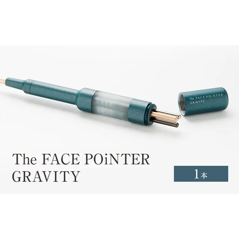 The FACE POiNTER GRAVITY 美顔器 ケア 健康 美容 東京都 大田区
