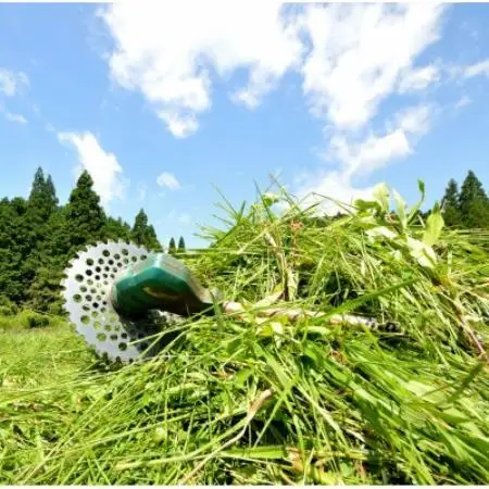 実家・空き家の草刈り・草取り・剪定(大牟田市)【1739304】