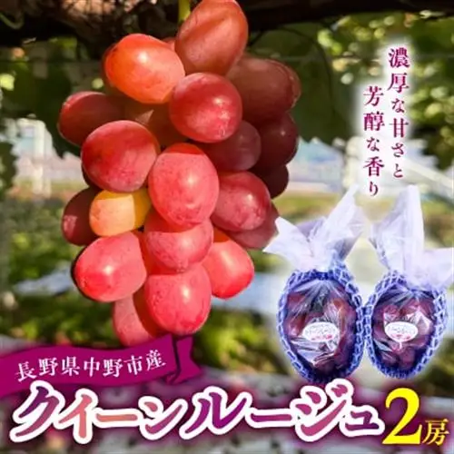 2026年発送　クイーンルージュ　2房【配送不可地域：離島】【1704051】