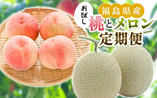 【福島県伊達市産】お試し 桃とメロン（3L～5L）2玉が届く定期便！ あかつき 特秀 約1.2kg・アールスメロン 特秀 2玉 数量限定 もも モモ めろん デザート フルーツ 果物 くだもの 果実 食品 F21C-530