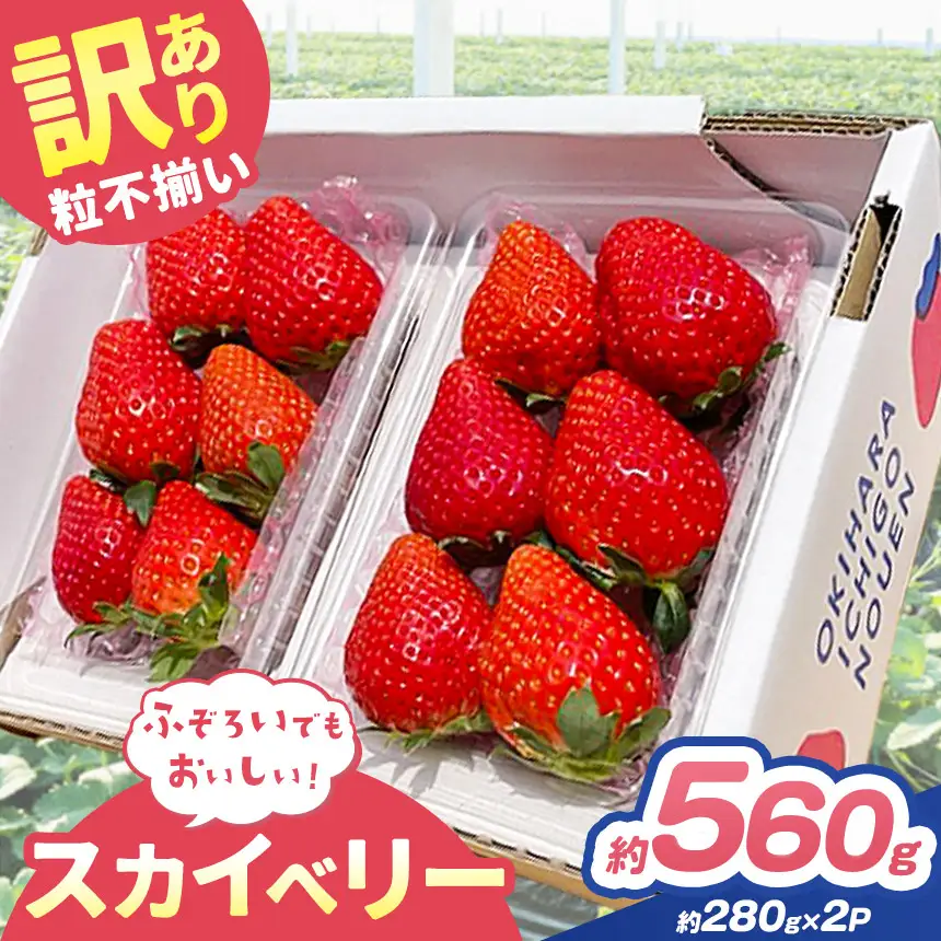 訳あり 粒不揃い スカイベリー 560g (280g×2P)  | 栃木県 矢板市 澳原いちご農園