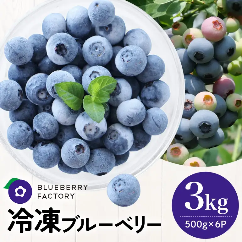 冷凍ブルーベリー＜真空パック保存＞3kgパック(500g×6P) A16-018