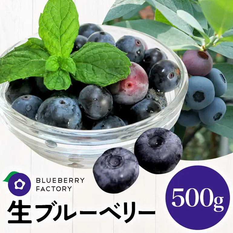 生ブルーベリー 600g（100g×6P） A16-021