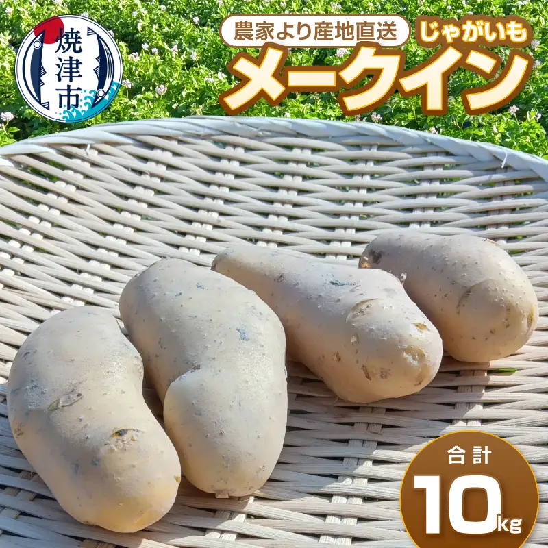 a10-1267　じゃがいも メークイン　農家より産地直送　5kg×2