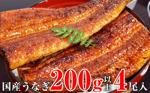 超特大国産うなぎ4本セット(1尾：200~229g)(B1176-1)