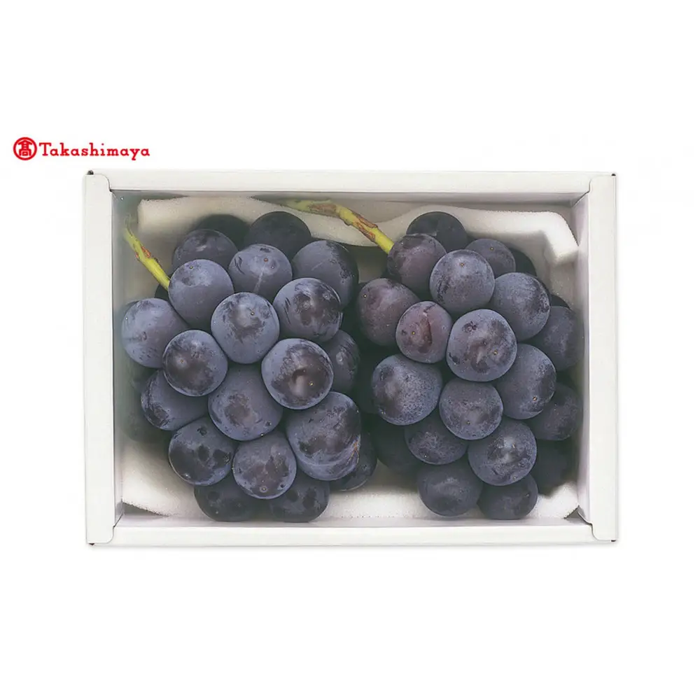 【高島屋選定品】〈フルーツアンシャンテ〉ニューピオーネ400g×2