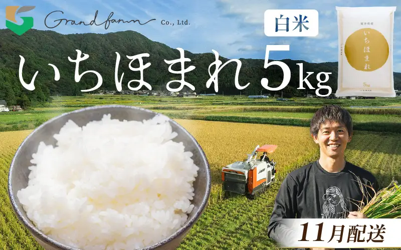 【先行予約】令和8年産 新米 いちほまれ 白米 5kg 【2026年11月以降順次発送】 白米 5キロ [m46-a004_11]