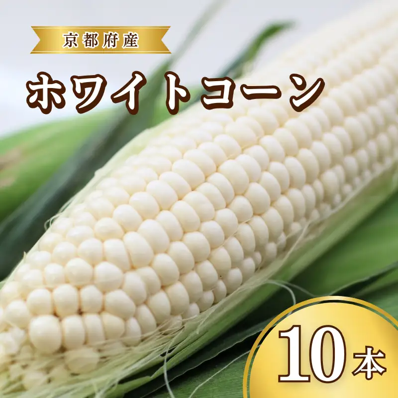 とうもろこし ホワイトコーン 10本 京丹後産 京都