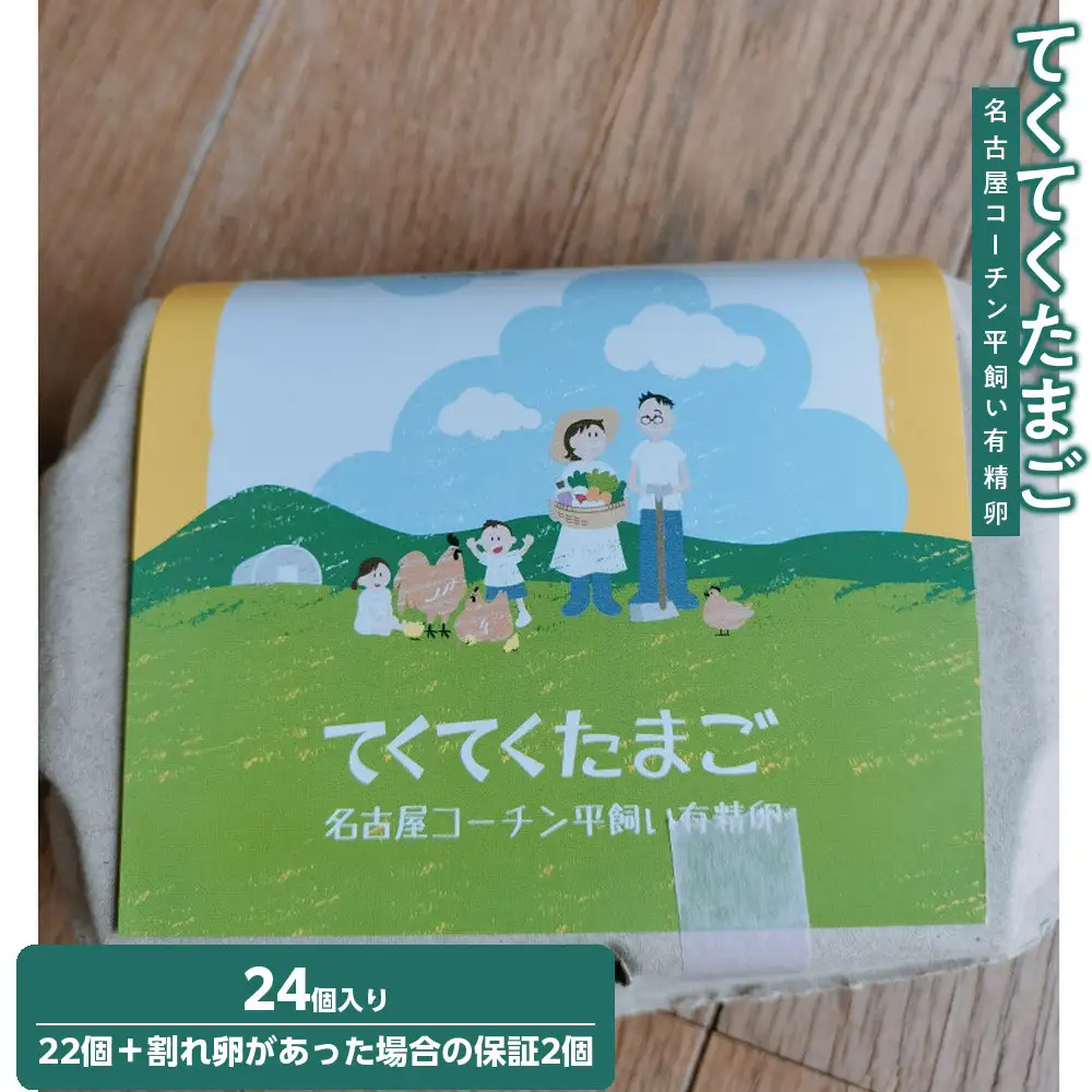 名古屋コーチン平飼い有精卵24個（22個+保証2個）