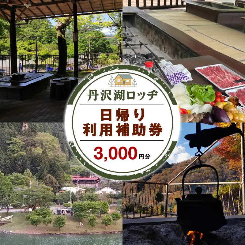 丹沢湖ロッヂ日帰り利用補助券3,000円分