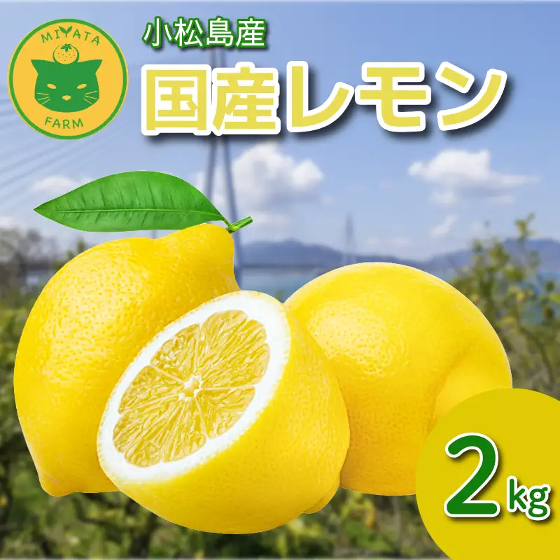 2026年11月発送】 レモン 2kg 秀品 国産 檸檬 ワックス不使用 防腐剤不