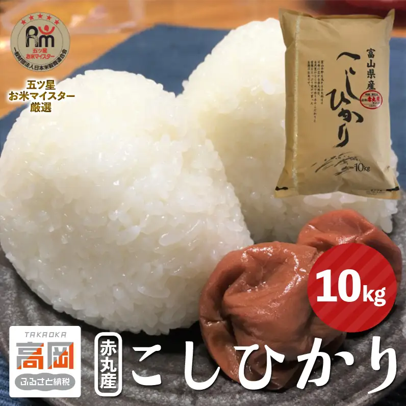 赤丸産こしひかり 10kg 高岡市 米 精米 FAD-1984