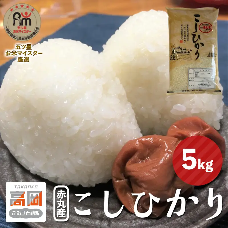 赤丸産こしひかり 5kg 高岡市 米 精米 FAD-1986
