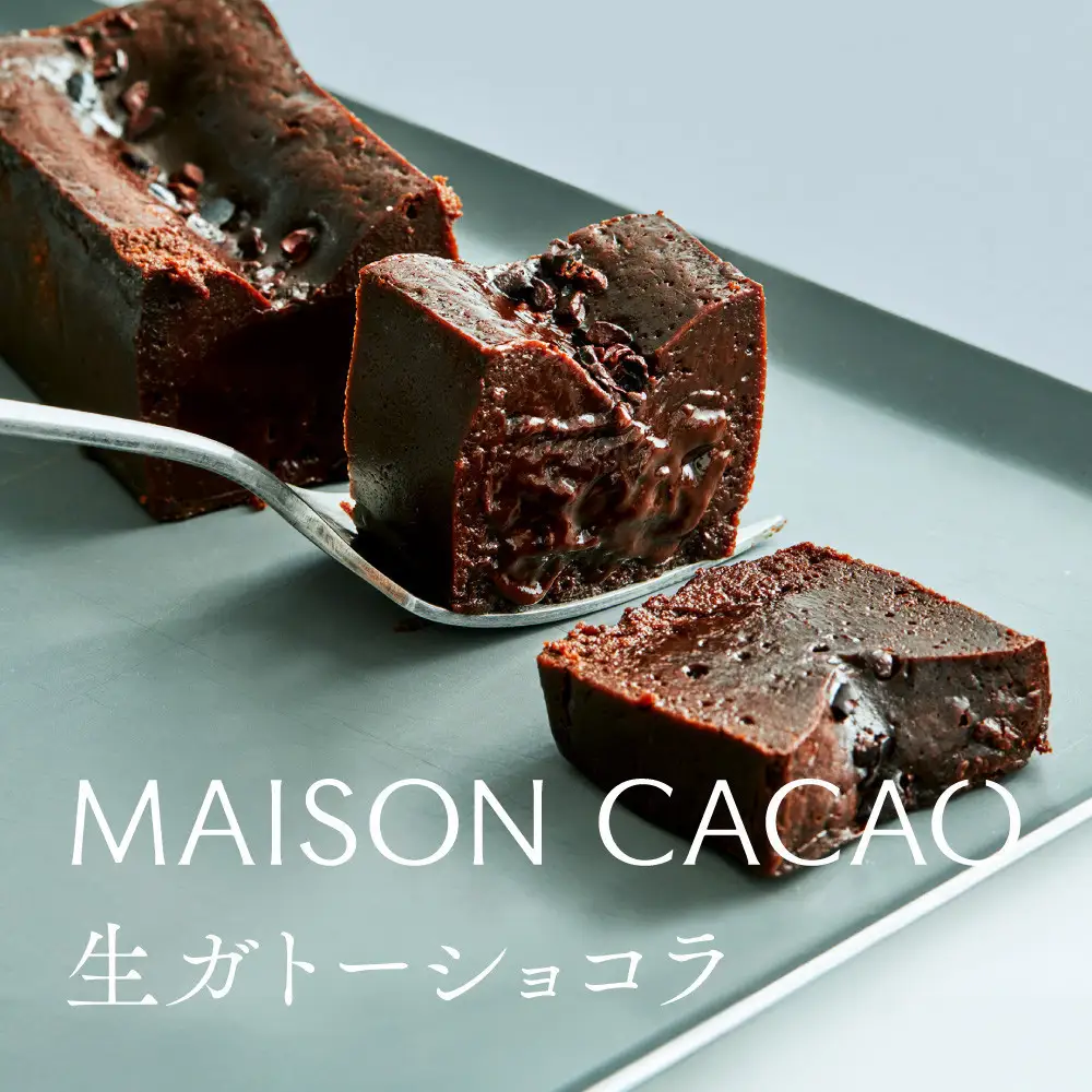 メゾンカカオ 濃厚生ガトーショコラ 300g 驚きの口どけ 冷凍