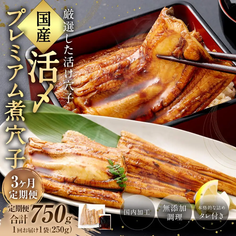 【 3ヶ月定期便 】 国産活〆 プレミアム煮穴子 250g （ 250g × 1袋 ） タレ （ 50g ） 付 魚 魚類 お魚 穴子 アナゴ あなご 魚料理 冷凍 保存料不使用 着色料不使用 添加物不使用