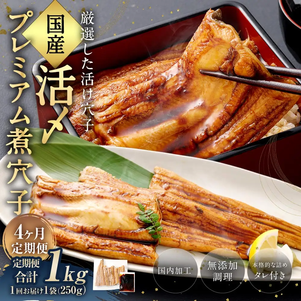 【 4ヶ月定期便 】 国産活〆 プレミアム煮穴子 250g （ 250g × 1袋 ） タレ （ 50g ） 付 魚 魚類 お魚 穴子 アナゴ あなご 魚料理 冷凍 保存料不使用 着色料不使用 添加物不使用