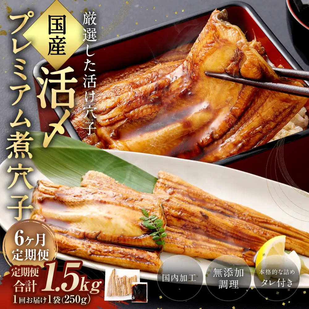 【 6ヶ月定期便 】 国産活〆 プレミアム煮穴子 250g （ 250g × 1袋 ） タレ （ 50g ） 付 魚 魚類 お魚 穴子 アナゴ あなご 魚料理 冷凍 保存料不使用 着色料不使用 添加物不使用