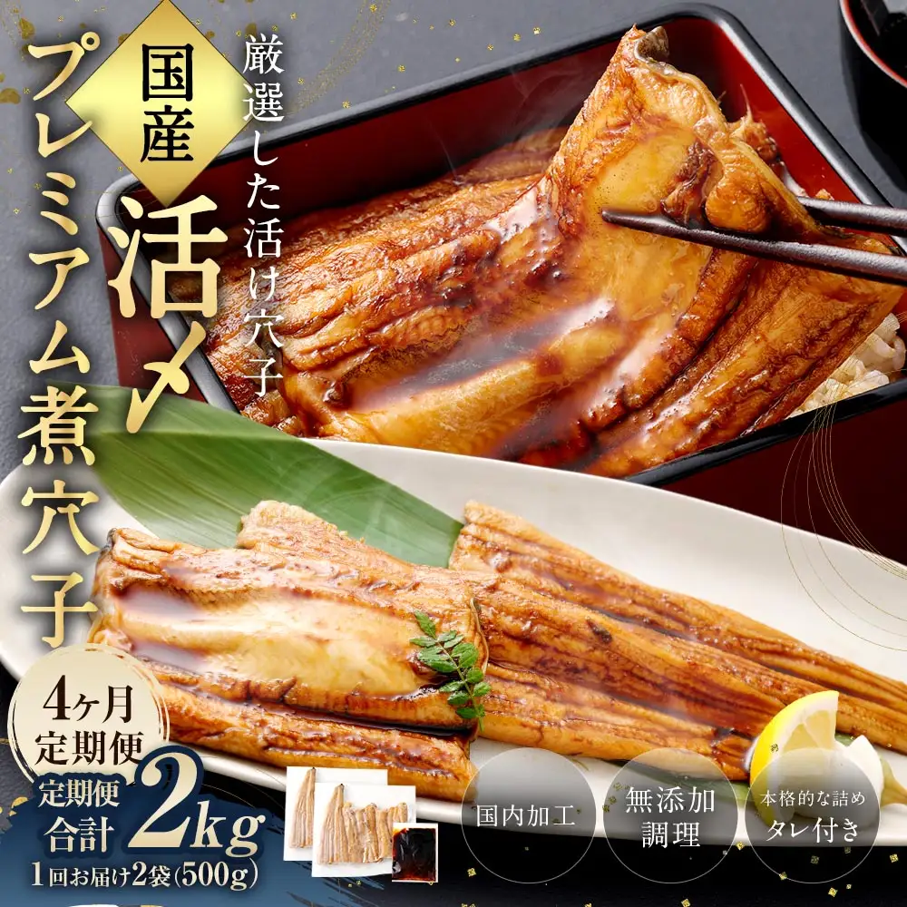【 4ヶ月定期便 】 国産活〆 プレミアム煮穴子 500g （ 250g × 2袋 ） タレ （ 50g ） 付 魚 魚類 お魚 穴子 アナゴ あなご 魚料理 冷凍 保存料不使用 着色料不使用 添加物不使用