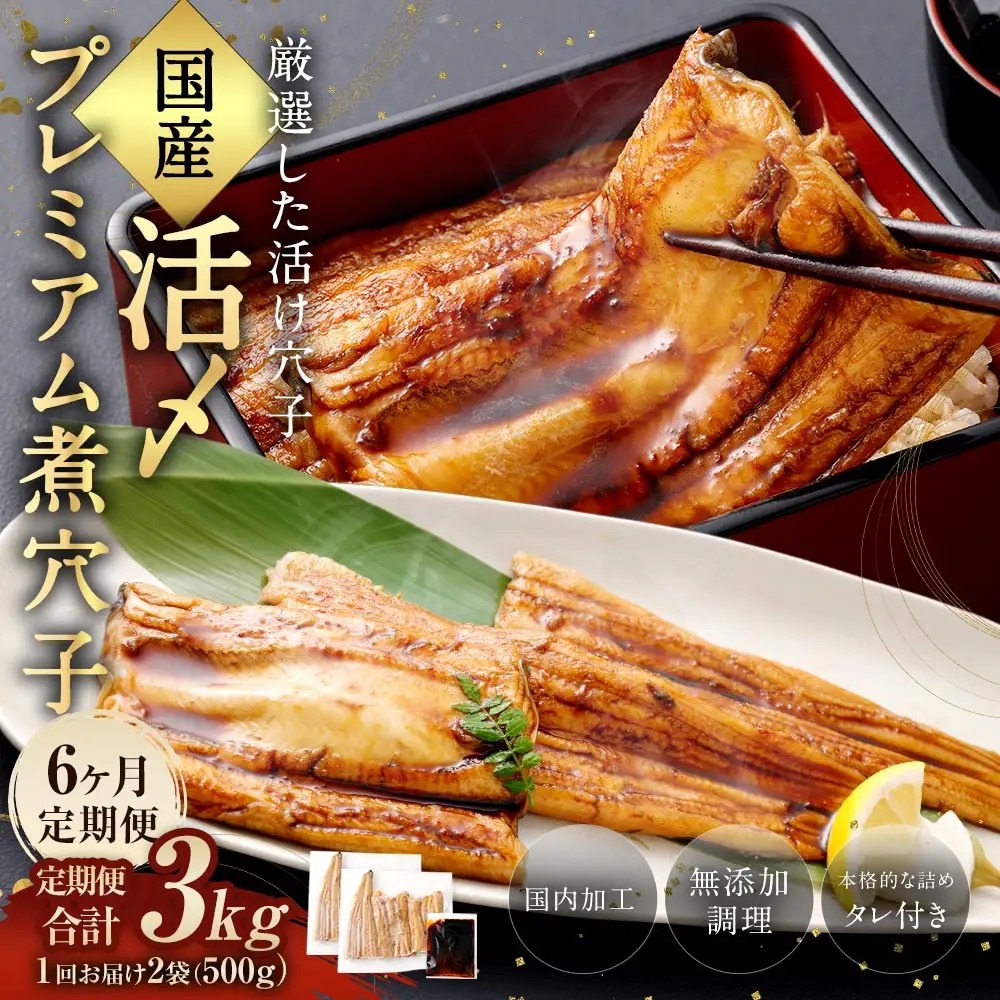【 6ヶ月定期便 】 国産活〆 プレミアム煮穴子 500g （ 250g × 2袋 ） タレ （ 50g ） 付 魚 魚類 お魚 穴子 アナゴ あなご 魚料理 冷凍 保存料不使用 着色料不使用 添加物不使用