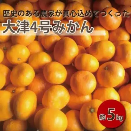 【2027年1月順次発送!】100年以上続くみかん農家がつくる「みかん(大津4号)」約5kg【配送不可地域：離島】【1738393】