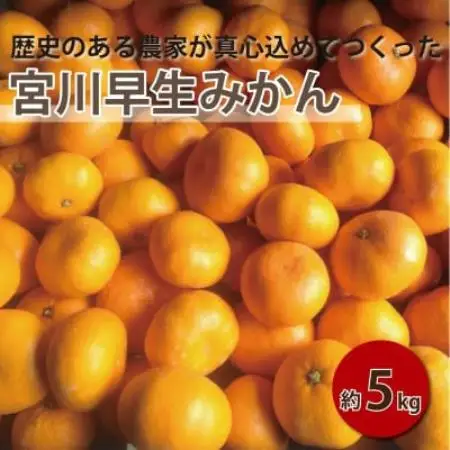 【2027年1月順次発送!】100年以上続くみかん農家がつくる「みかん(宮川早生)」約5kg【配送不可地域：離島】【1738394】