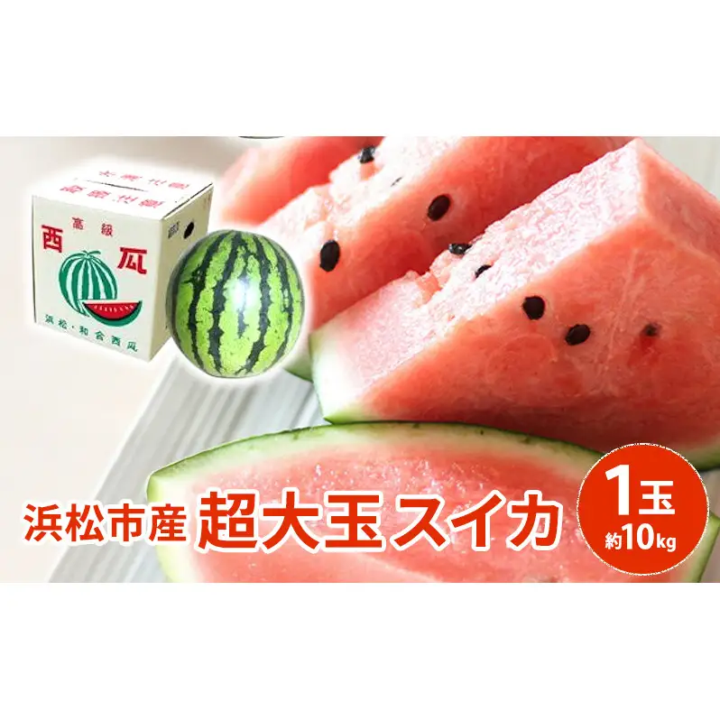 【浜松市産】超大玉スイカ 1玉 約10kg すいか スイカ 西瓜 果物 くだもの 大玉 フルーツ プレゼント お中元 静岡 浜松市【配送不可：離島】 