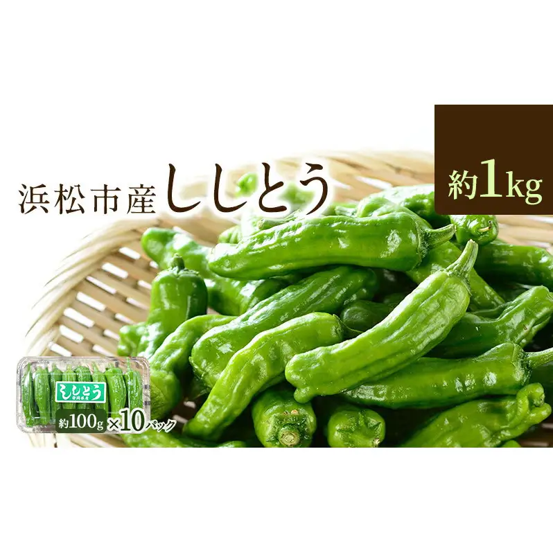 浜松市産 ししとう 約100g×10パック 合計約1kg とうがらし 獅子唐 シシトウ 国産 野菜 静岡 浜松市