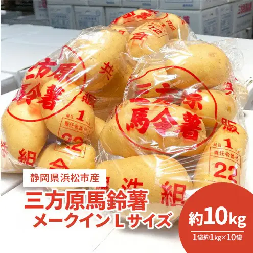 【静岡県浜松市産】三方原馬鈴薯 メークイン Lサイズ 約10kg（1袋約1kg×10袋） じゃがいも 芋 野菜 静岡 浜松市