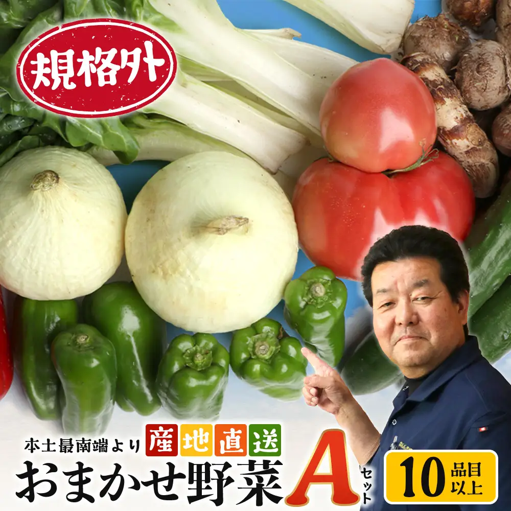 【規格外】本土最南端から 旬のおまかせ野菜セットA 10品目以上 NI-3 ｜ 旬 野菜 やさい 果物 くだもの 産地直送 農産物 冷蔵 鹿児島県 南大隅町産 詰合せ おまかせ 家庭用 訳あり なんたん市場