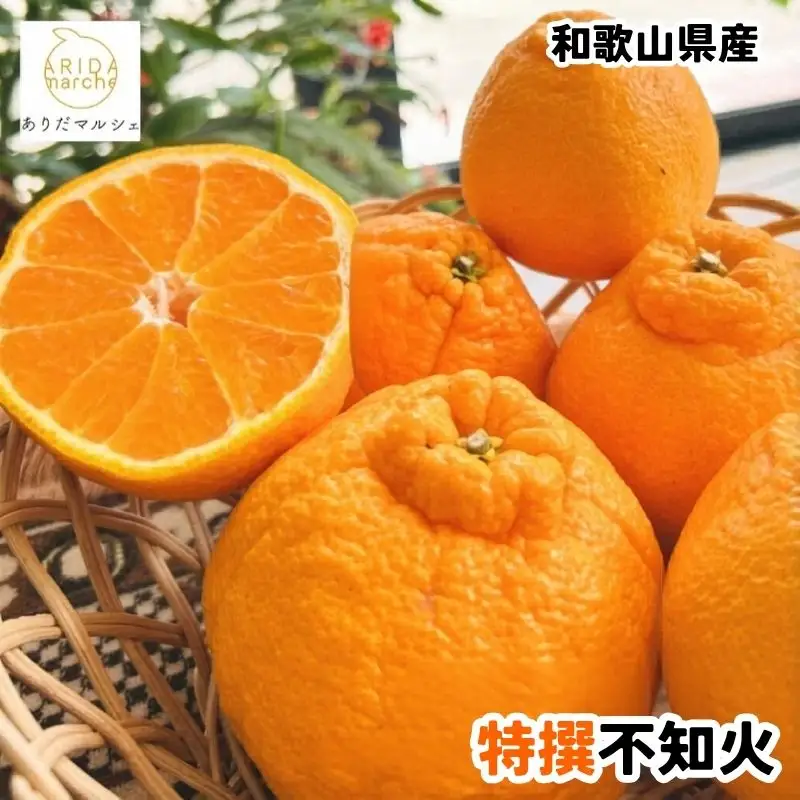特選 濃厚 不知火 約3kg+200g(痛み補償分)【2027年1月下旬～3月下旬に順次発送】【AA-ard258】