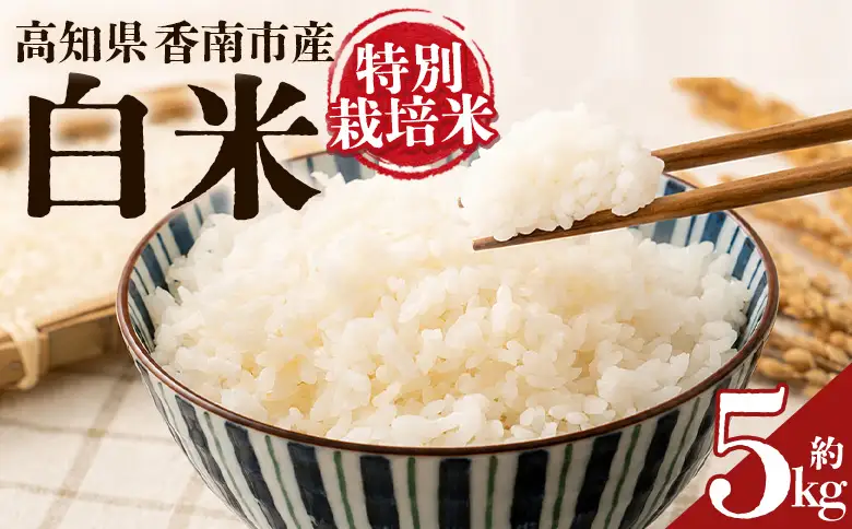 令和８年度産 白米（特別栽培米）5kg ka-0002