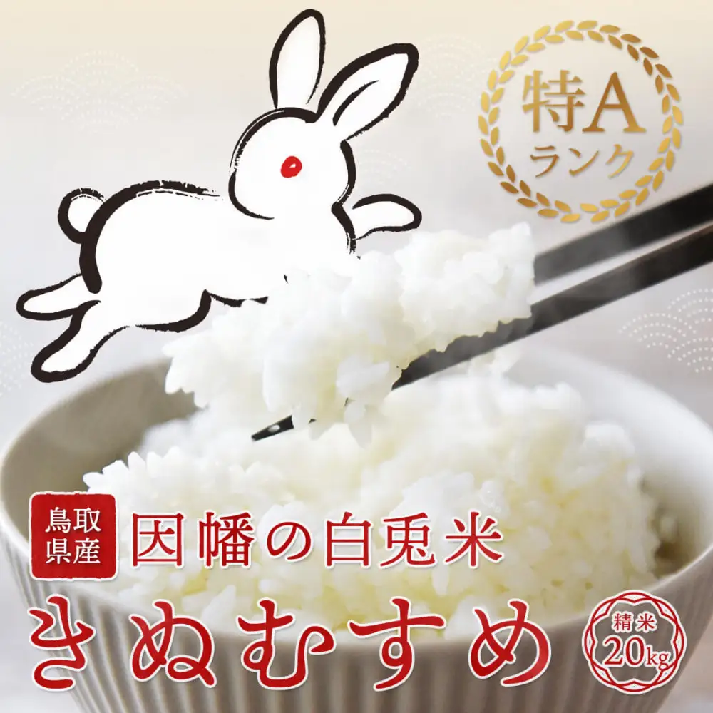 【令和8年度産】因幡の白兎米 きぬむすめ 精米済 20kg ( 5kg×4袋 )