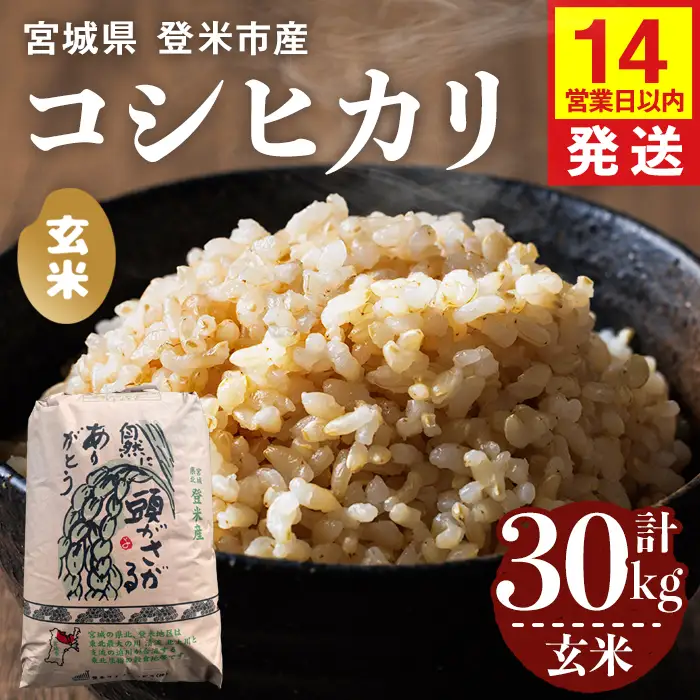 【14営業日以内に発送予定】≪令和7年産≫ コシヒカリ 玄米 30kg×1袋 登米市産 お米 おこめ 米 コメ こしひかり ご飯 ごはん おにぎり お弁当 【登米ライスサービス株式会社】tm726